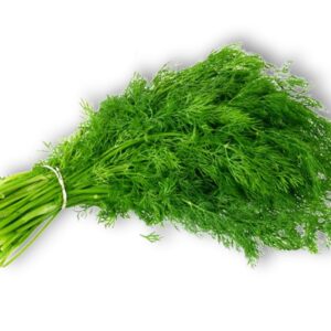 Dill Leaves without roots