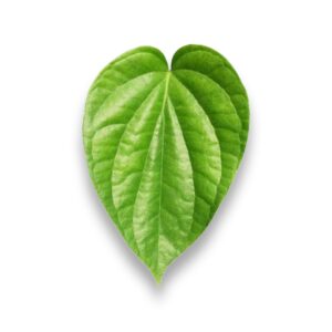 Betel Leaves
